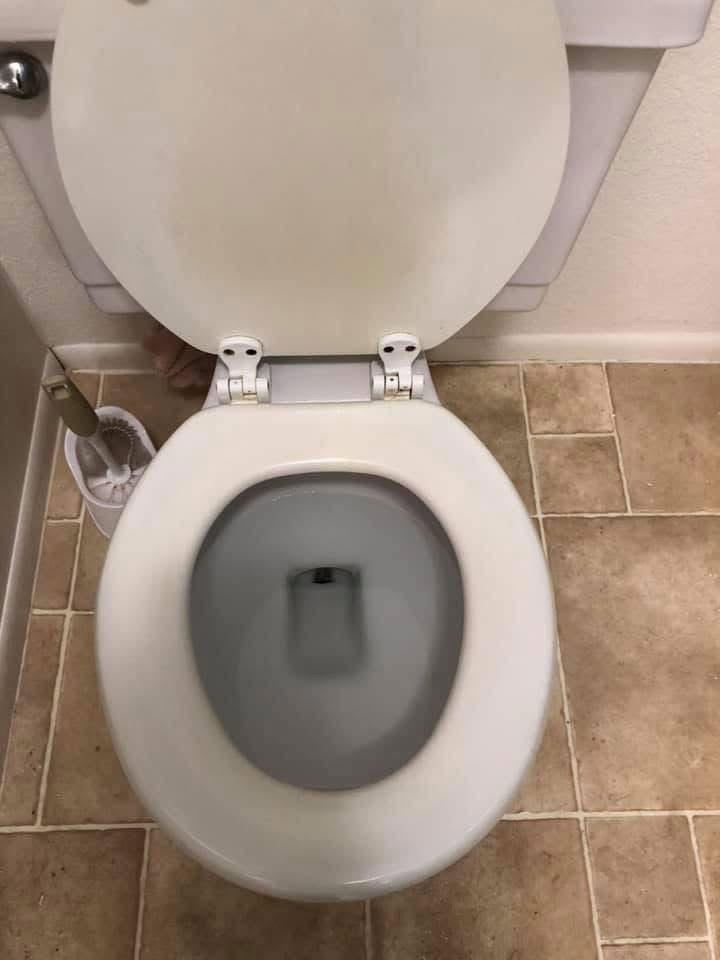 toilet-after-2 Clean Toilet
